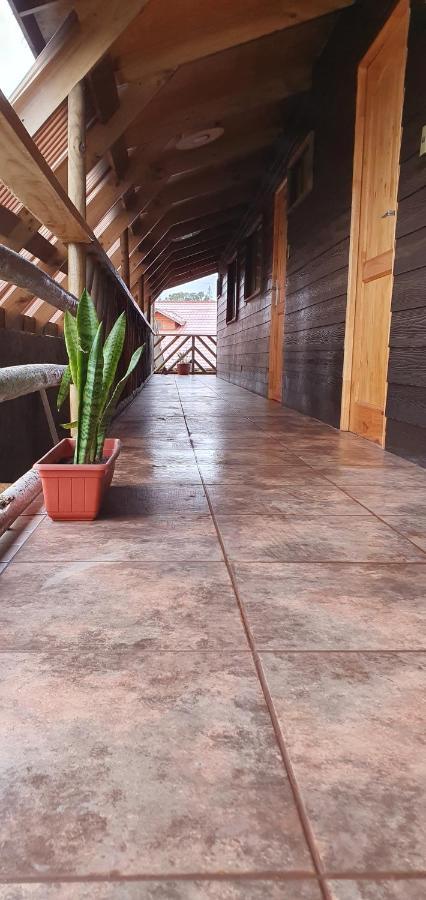 Apartamentos Tupuna Lodge Hanga Roa Bagian luar foto